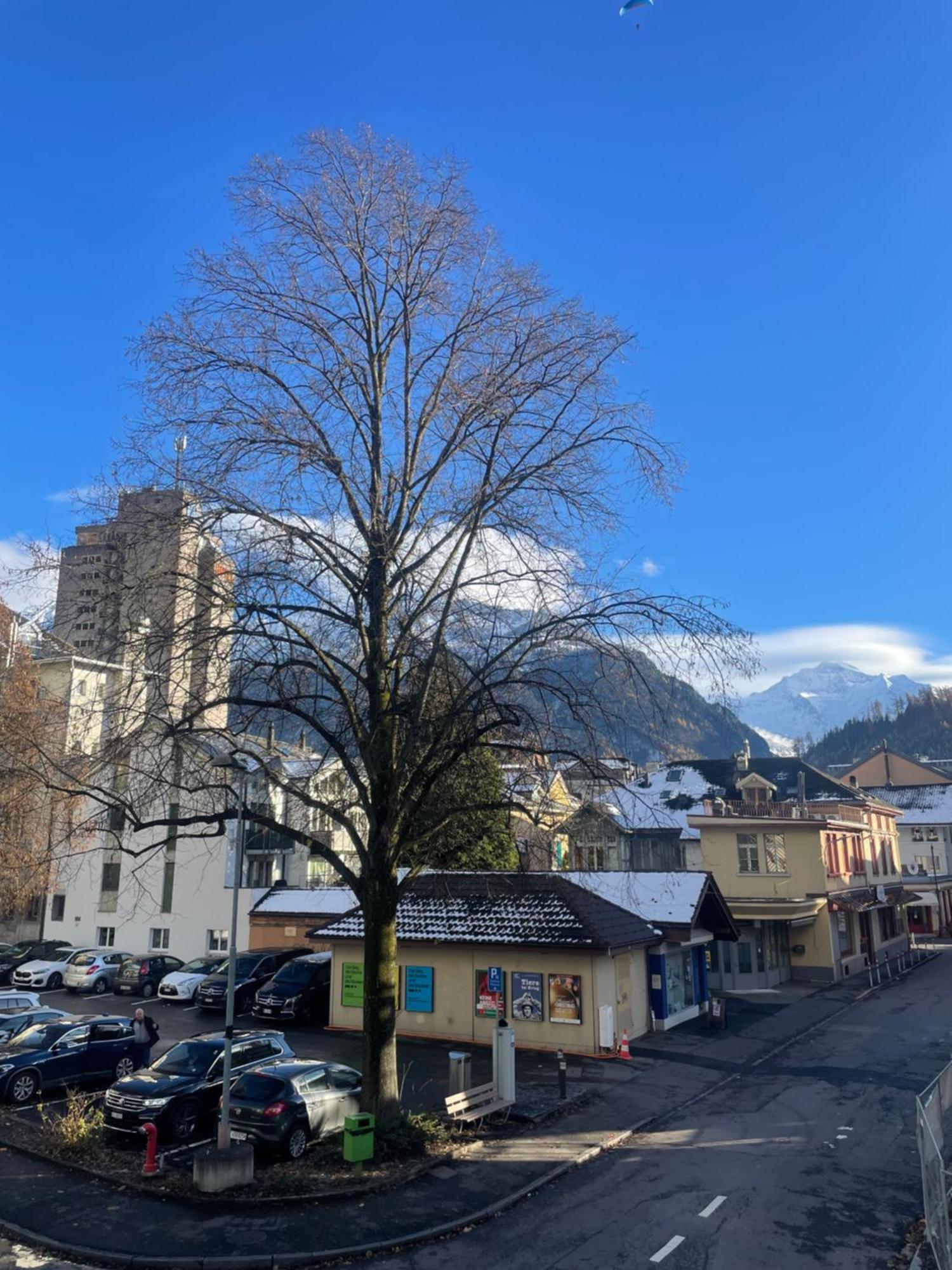 Modern City Apartments Interlaken Luaran gambar
